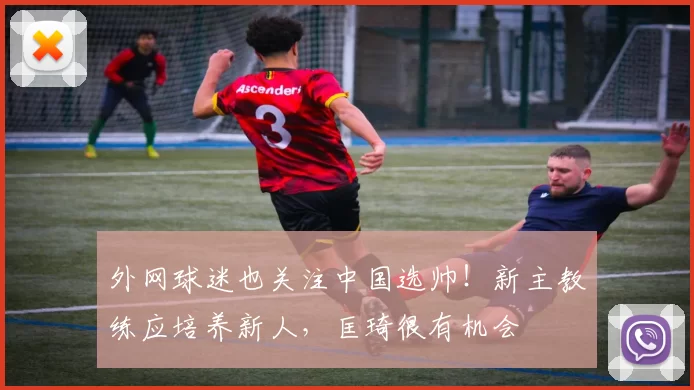 外网球迷也关注中国选帅！新主教练应培养新人，匡琦很有机会