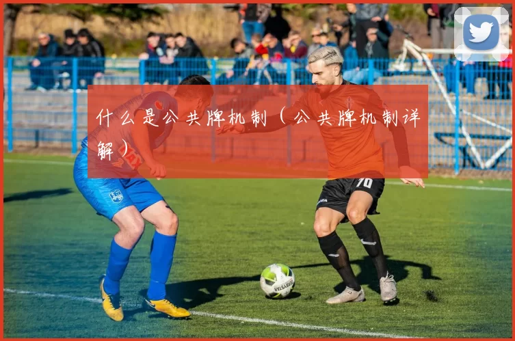 什么是公共牌机制（公共牌机制详解）