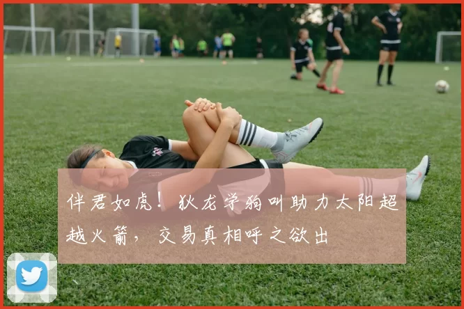 伴君如虎！狄龙学狗叫助力太阳超越火箭，交易真相呼之欲出