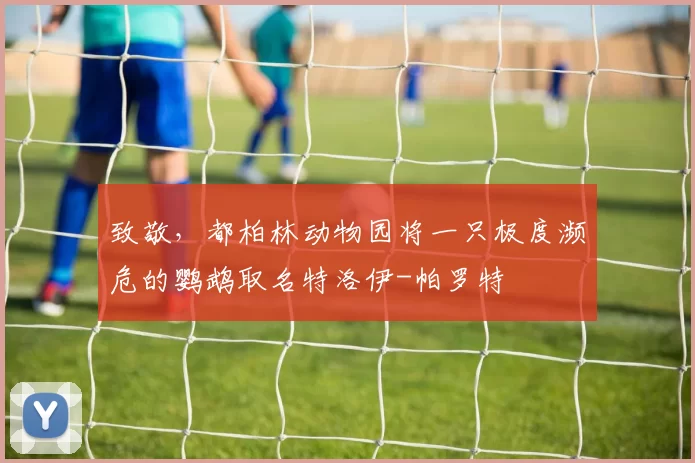 致敬，都柏林动物园将一只极度濒危的鹦鹉取名特洛伊-帕罗特