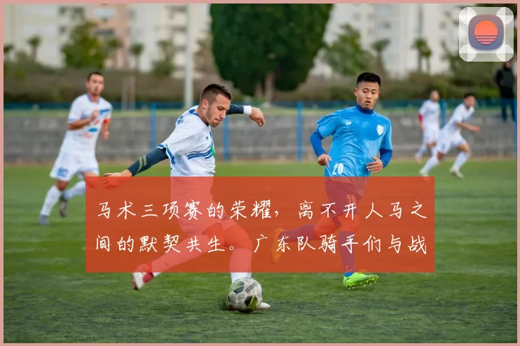 马术三项赛的荣耀，离不开人马之间的默契共生。广东队骑手们与战马的故事，成为赛场外最动人的篇章。