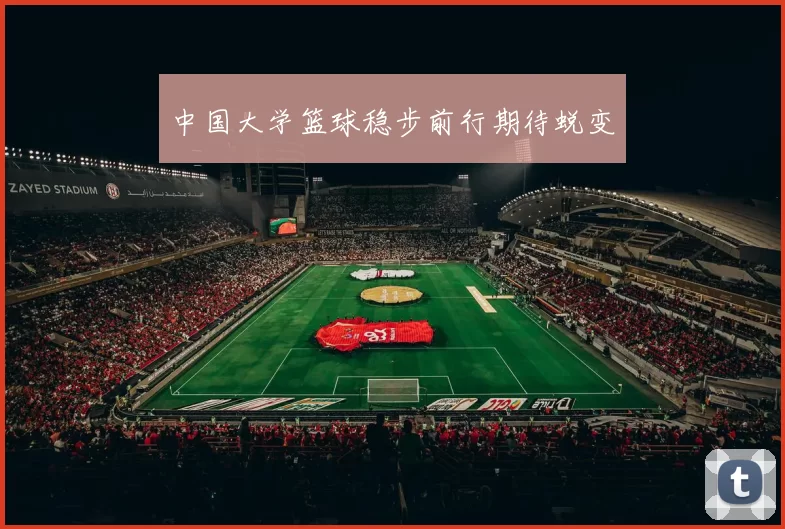 中国大学篮球稳步前行期待蜕变