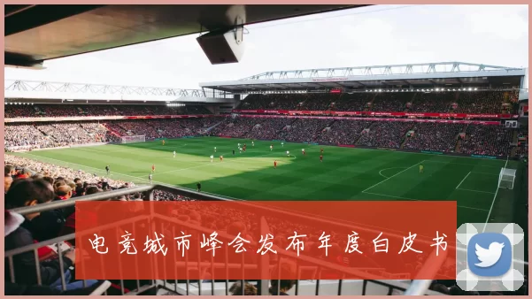 电竞城市峰会发布年度白皮书