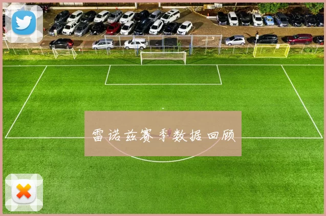 雷诺兹赛季数据回顾