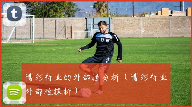 博彩行业的外部性分析（博彩行业外部性探析）