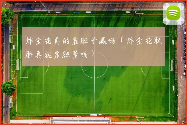 炸金花真的靠胆子赢吗（炸金花取胜真就靠胆量吗）