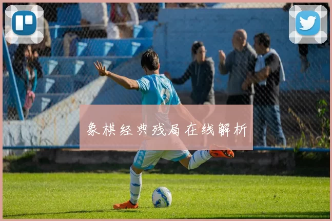 象棋经典残局在线解析