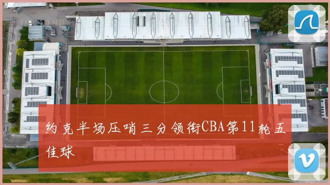 约克半场压哨三分领衔CBA第11轮五佳球