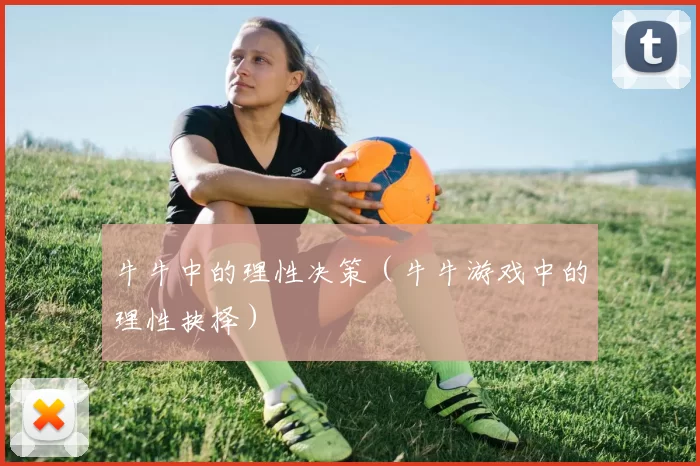 牛牛中的理性决策（牛牛游戏中的理性抉择）